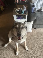 IMG_5905.jpeg