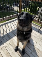 IMG_3046.jpeg
