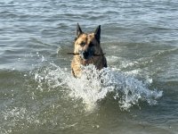 IMG_3889.jpeg