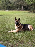 IMG_2444.jpeg